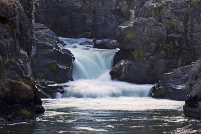 Complex River Networks Foster Resilient Watershed Populations