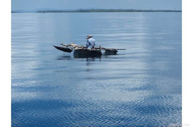 Kenya Study Reveals Optimal Harvest Levels for Reef Fish Conservation