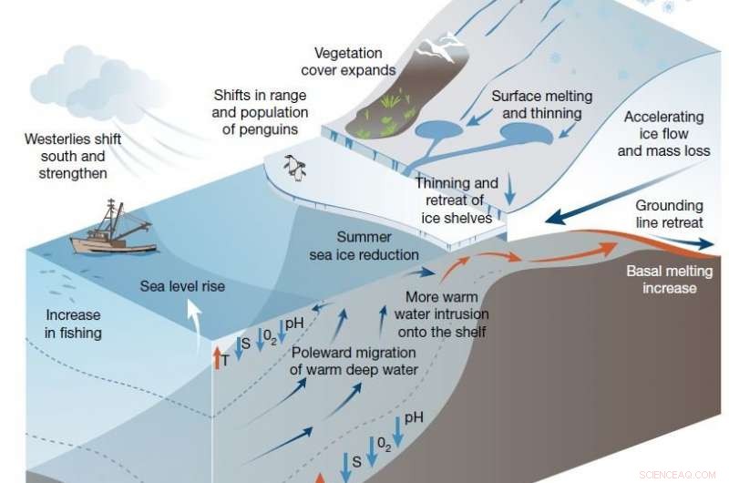 Saving Antarctica: Strategies to Protect Our Planet