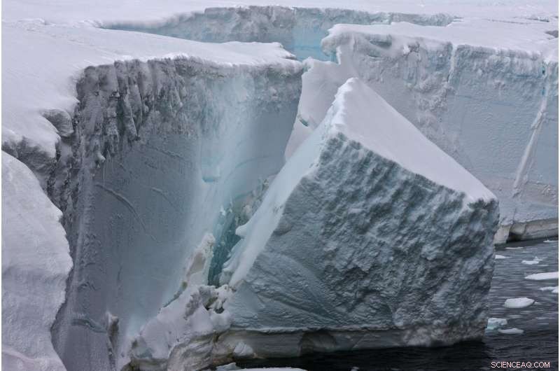 Sea Ice Loss Fuels Ocean Waves, Triggering Antarctic Ice Shelf Collapse