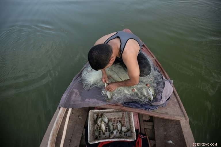 Shrinking Pharaonic Sea Threatens Egypt’s Fishing Communities
