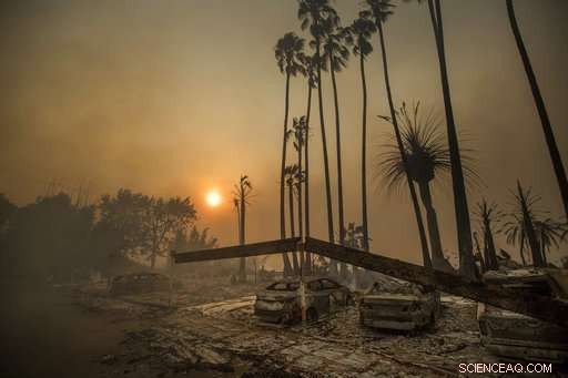 Three Decades After the Warning, Global Warming Hits Our Living Rooms