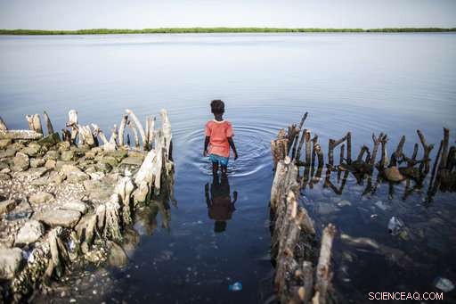 Three Decades After the Warning, Global Warming Hits Our Living Rooms