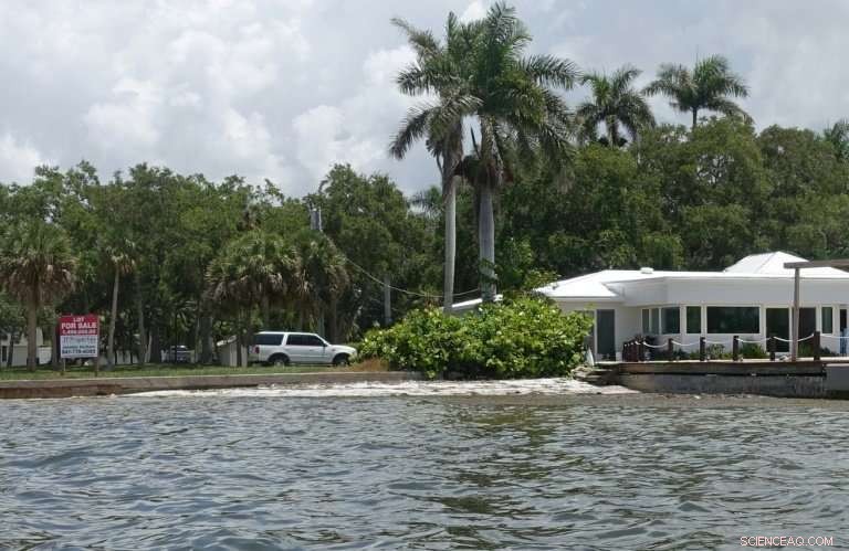 Sea Level Rise Threatens Florida Homes: Experts Warn of Property Crisis