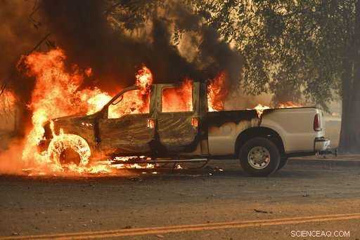 Climate Change in Action: Allergies, Glaciers, and Pikas Revealed