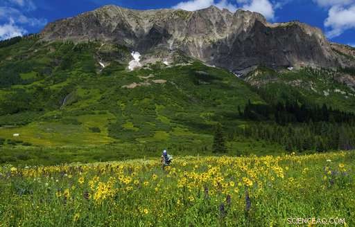 Climate Change in Action: Allergies, Glaciers, and Pikas Revealed
