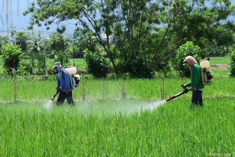 Small Chinese Farms Overuse Agrochemicals, Threatening Health and the Environment