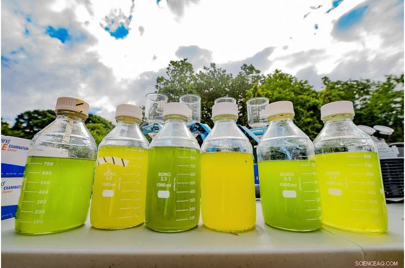 Outdoor Research Reveals Biodiversity Boosts Algal Biofuel System Stability