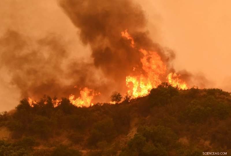 Short‑Term Disaster Responses May Hinder Long‑Term Climate Adaptation, Study Finds