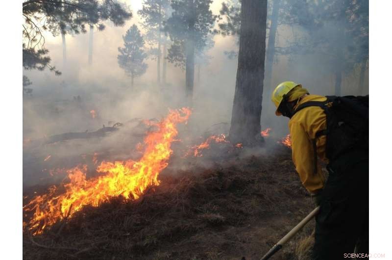 Wildfires Threaten Drinking Water: How Fires Pollute Sources