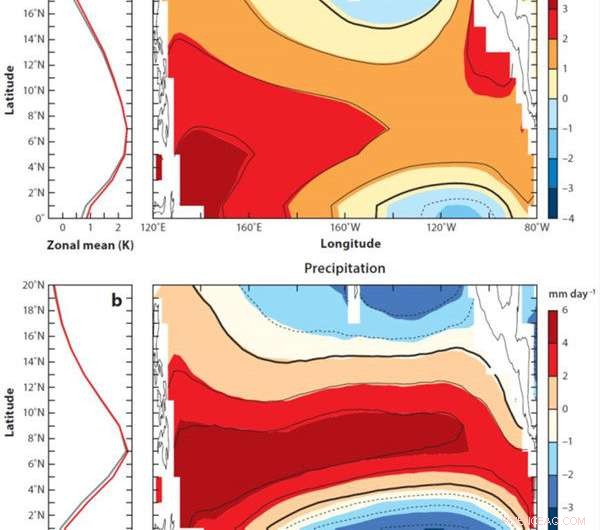How Tropical Atmospheric Circulation Responds to Climate Change: Insights from Multimodel Analysis