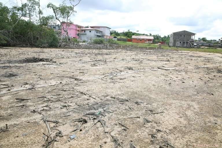 Environment Suffers as Gabon s Capital Libreville Pursues Rapid Growth