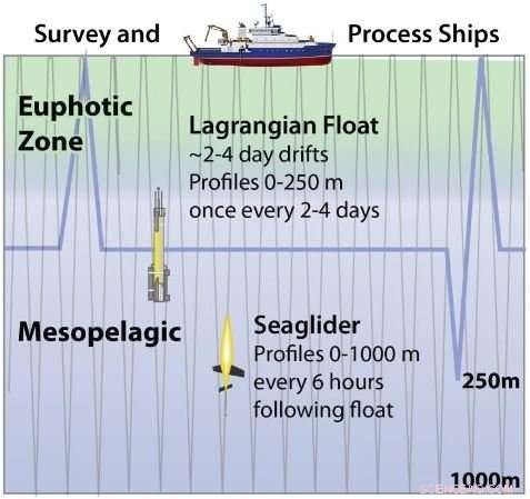 NASA & NSF Launch Seattle‑Based Expedition to Study Ocean Carbon in August