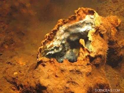 New Hydrothermal Vent Field Discovered in the Mid‑Atlantic Ocean