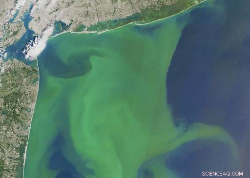 Global Warming Accelerates Spread of Toxic Algae Blooms Across the U.S., Scientists Report