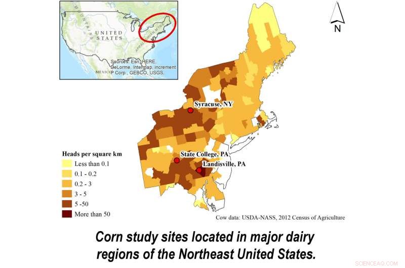 Climate Change Forecasts Threaten Lancaster County Corn Yields by 2050