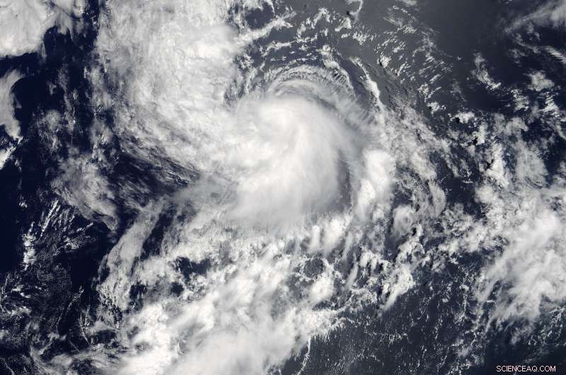 NASA Satellite Captures Declining Tropical Cyclone Daniel