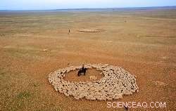 Unveiling the Role of Connectivity in Bio-Heritage: A Fresh Perspective