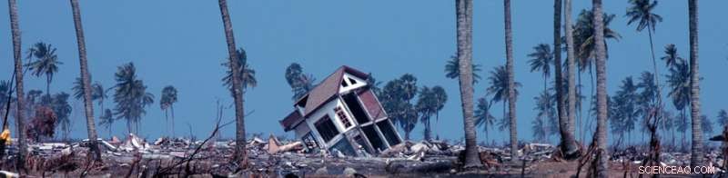 Mobilizing Global Capital After Disaster Drives Economic Recovery