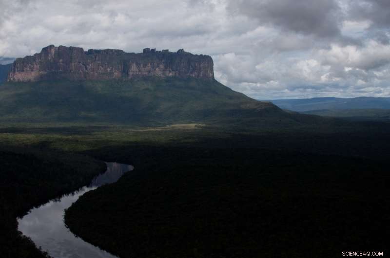 Why Global Environmentalists Remain Silent About Venezuela s Mining Crisis