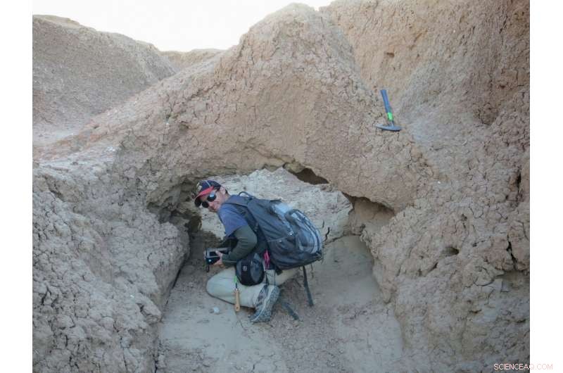 Scientists Pinpoint Potential Hotspot for Next San Andreas Fault Earthquake