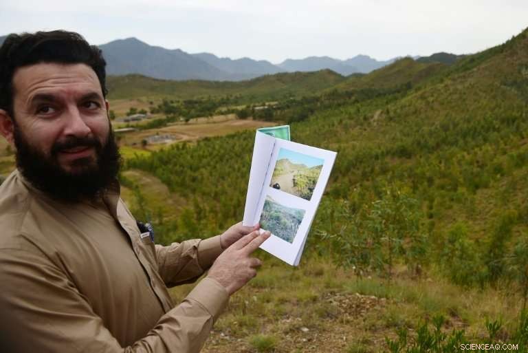 Pakistan s Massive Tree‑Planting Drive: Hundreds of Millions of Trees Embrace the Green Future