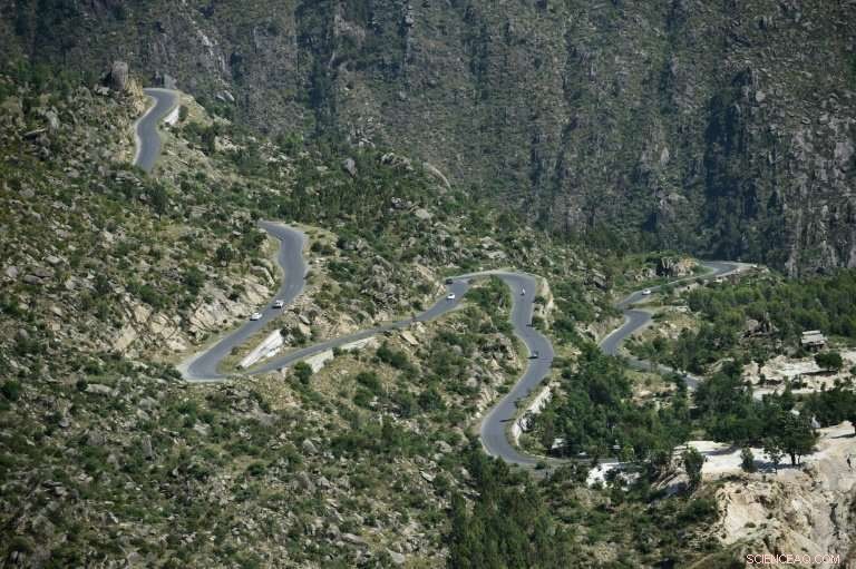 Pakistan s Massive Tree‑Planting Drive: Hundreds of Millions of Trees Embrace the Green Future