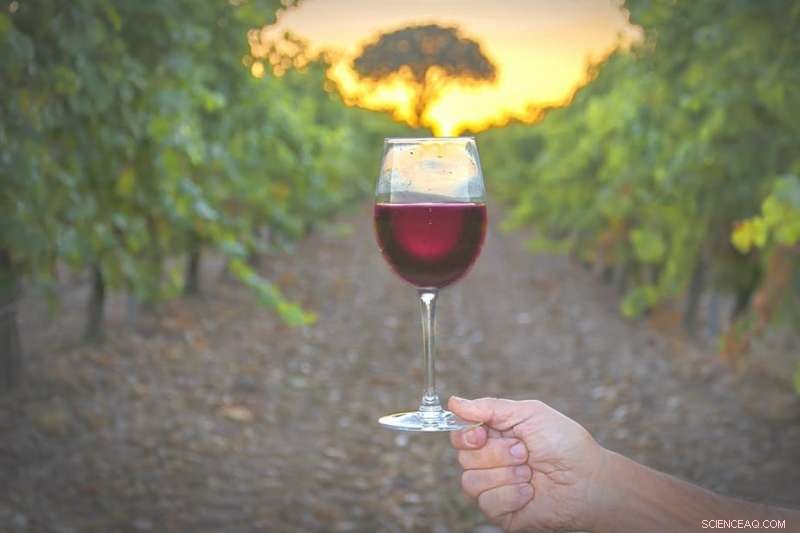 Why Wine Lovers Must Understand Geology – The Soil Behind the Sip