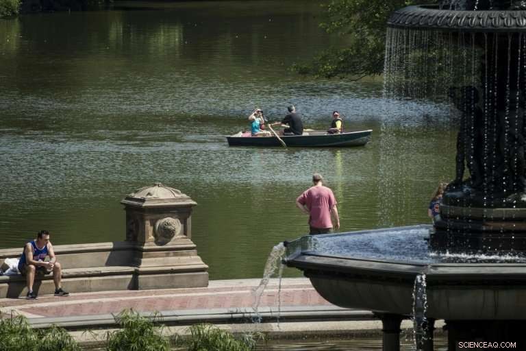 Central Park Turns Car-Free, Enhancing Visitor Experience