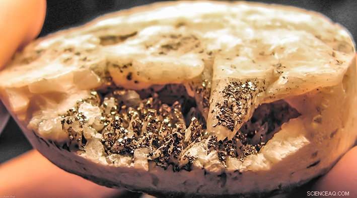 Deep Biosphere Microbes Amplify Earth’s Chemical Life Signatures