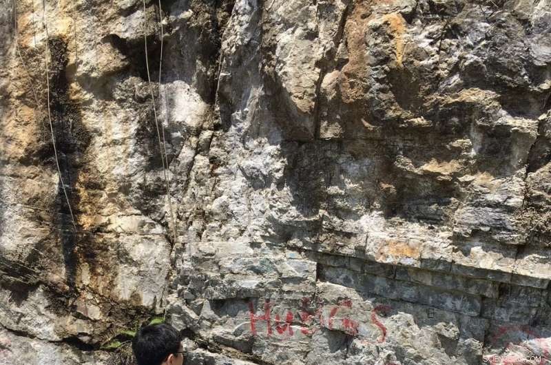 Unraveling the Causes of Earth s First Mass Extinction of Early Animals