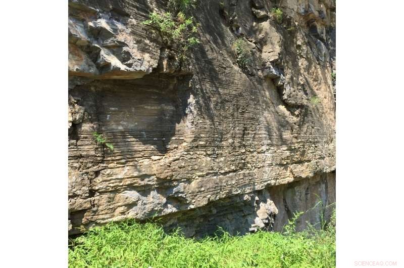 Unraveling the Causes of Earth s First Mass Extinction of Early Animals