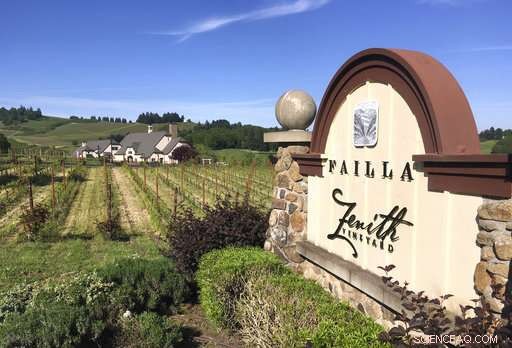 How the Global Wine Industry Is Adapting to Climate Change