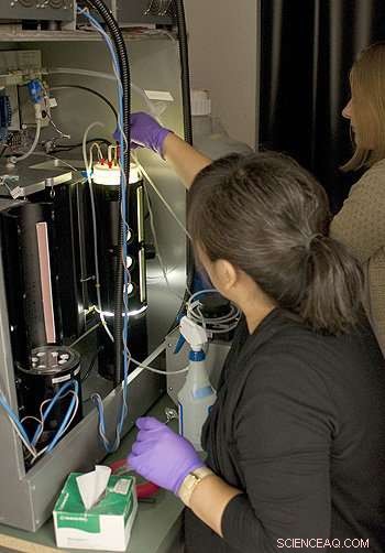 How Microscopic Marine Algae Adapt to Changing Ocean Conditions