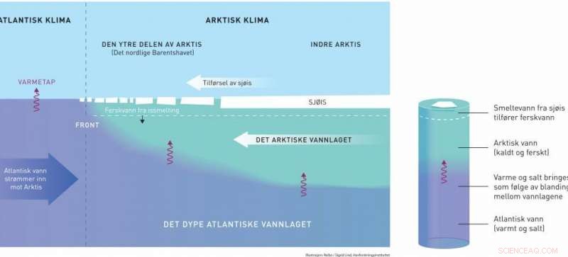 Arctic Ocean Shifts Toward Atlantic Climate, Signaling Rapid Warming