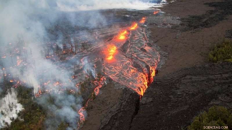 ECOSTRESS Reveals Four Unexpected Phenomena Beyond Plant Heat Stress