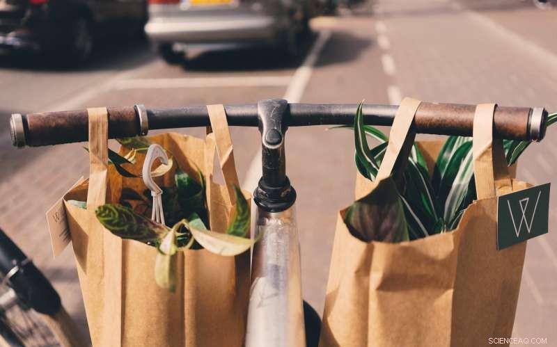 Discover Why Retailers Are Proudly Showcasing Their Green Credentials