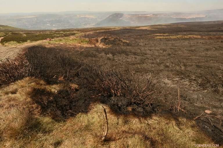 Firefighters Battle Second Wildfire in Northern England, Safeguarding Communities