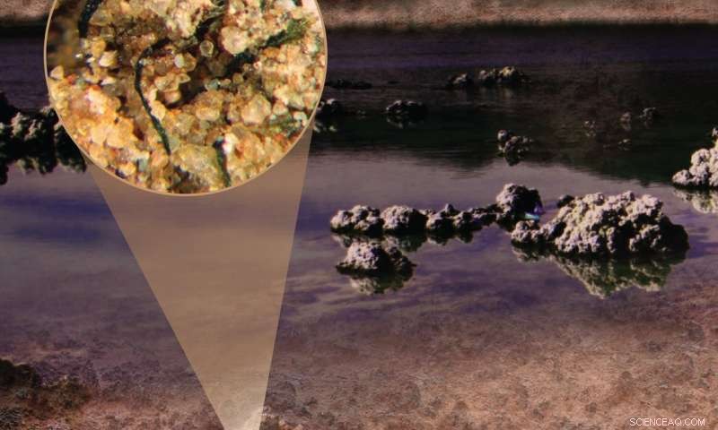 Ancient Continental Microbes Sparked Nitrogen in Early Oceans