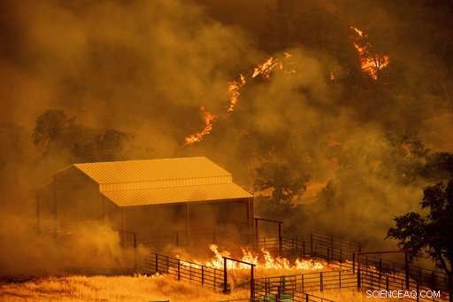 Strong Winds Expand California Fire Amid Nationwide Blaze Battle