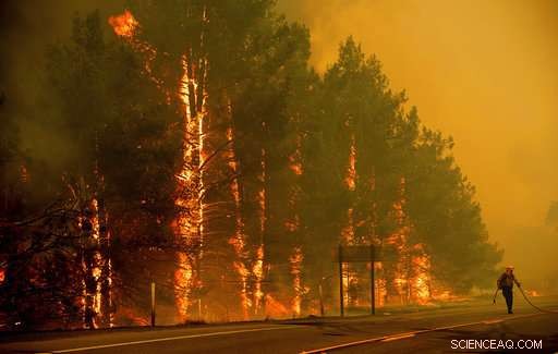 Strong Winds Expand California Fire Amid Nationwide Blaze Battle