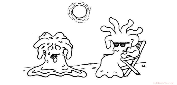 How Symbiotic Relationships Help Anemones Survive Heat Stress