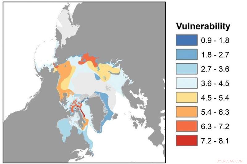 New Study Pinpoints Marine Mammals Most Vulnerable to Rising Arctic Shipping Traffic