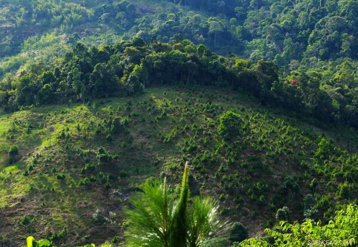 Developing Nations Brace for Up to $168B in Climate‑Related Debt Payments Over Next Decade, Report Finds