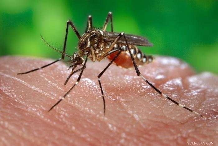 Empower NASA to Track & Predict Mosquito-Borne Disease Outbreaks