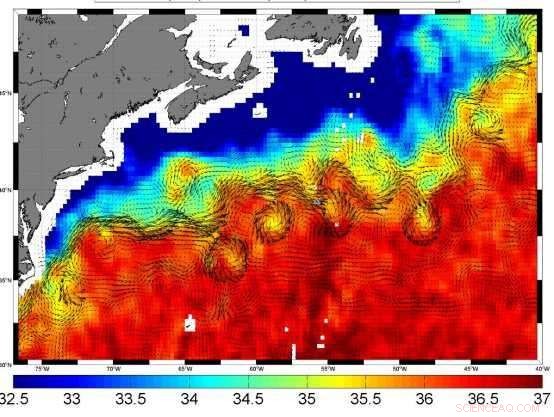 How Gulf Stream Eddies Supply Iron to the North Atlantic
