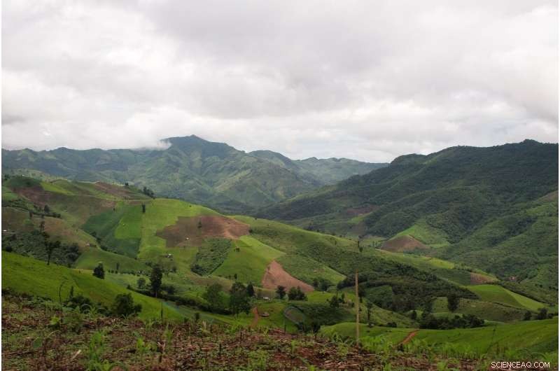 Southeast Asian Forest Loss Exceeds Expectations, Threatening Climate Stability
