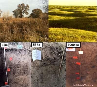 Soil: A Key Ingredient in Climate Agreements