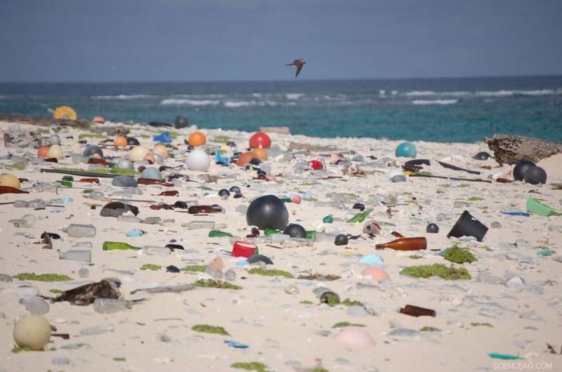 Effective Strategies to Tackle the Global Plastic Crisis