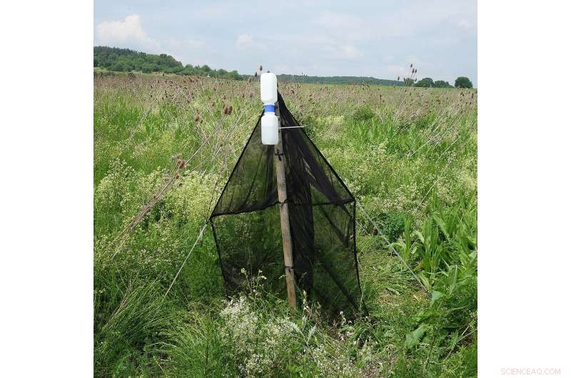 Bavaria s Ecosystems Under Transformation: Impacts, Challenges, and Conservation Strategies